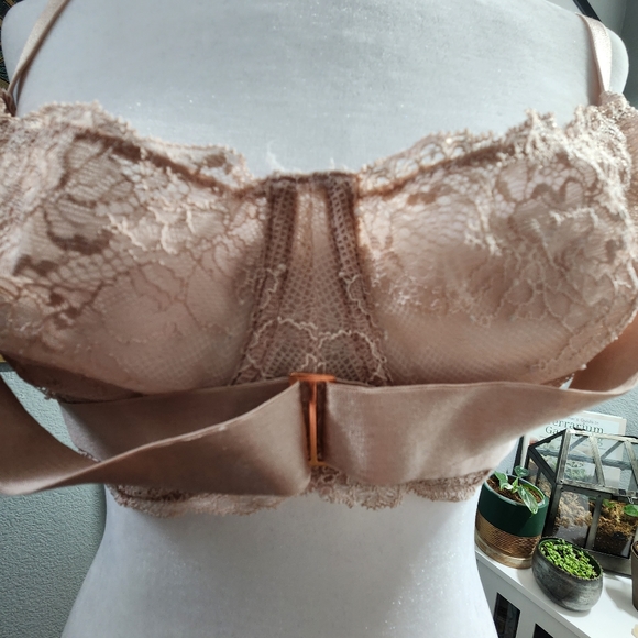 Adore Me Sexy Ballet Bra - Picture 4 of 8